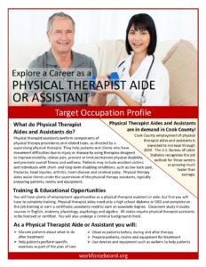 Physical Therapist Aide or Assistant
