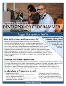 Developer or Programmer