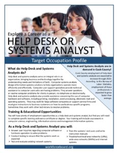 Help Desk or Systems Analyst